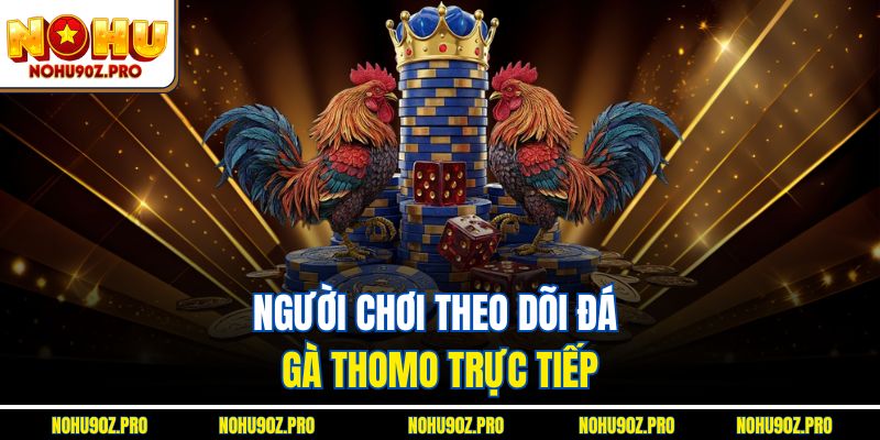 Người chơi theo dõi đá gà Thomo trực tiếp